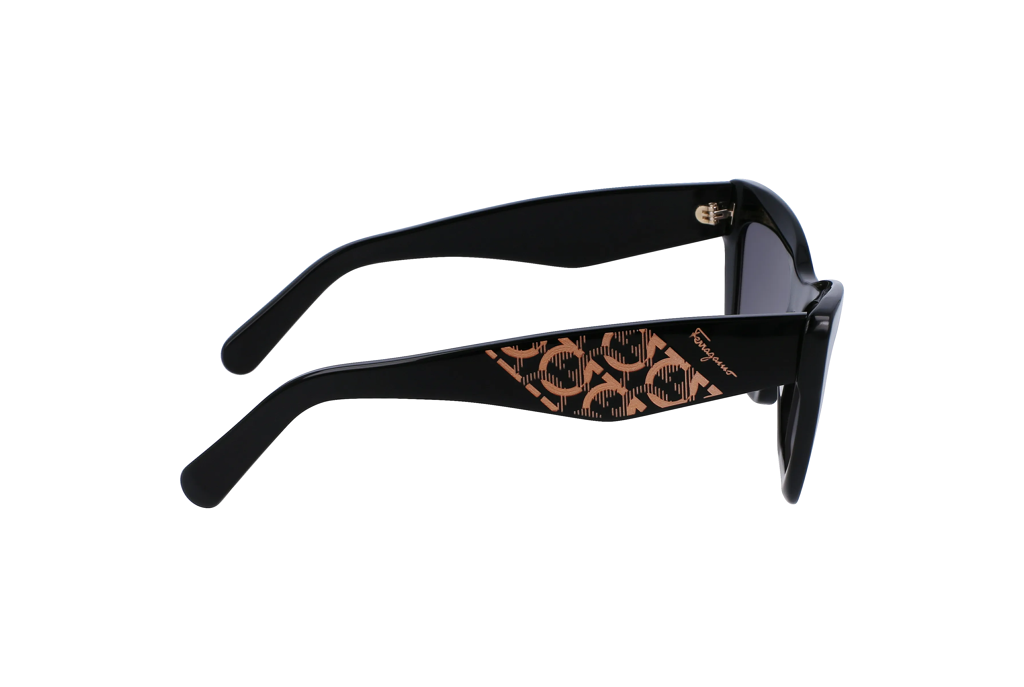 FERRAGAMO Sunglasses - SF1081SE