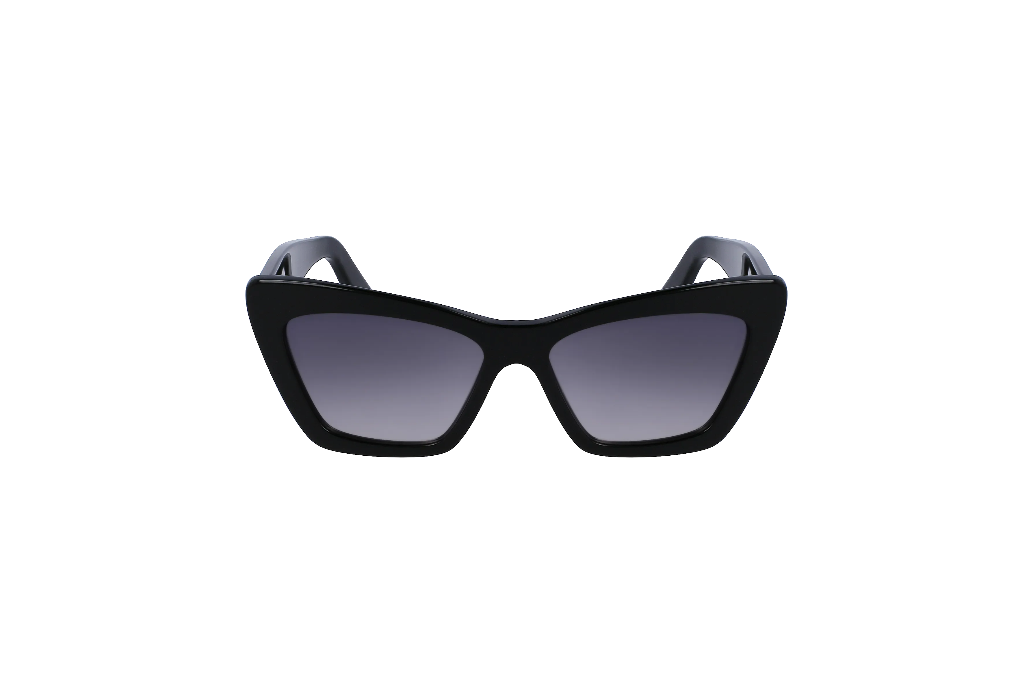 FERRAGAMO Sunglasses - SF1081SE